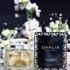 Dahlia Pour Femme